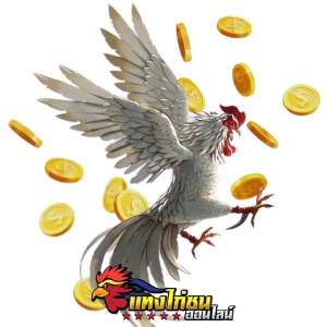 แทงไก่ชนออนไลน์สด