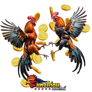 โบนัสแทงไก่ชน